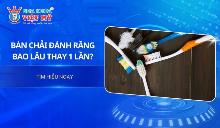 Bàn chải đánh răng bao lâu thay 1 lần? Tìm hiểu ngay